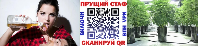 Наркота Нефтегорск Cocaine  Alpha-PVP  Галлюциногенные грибы  Конопля 