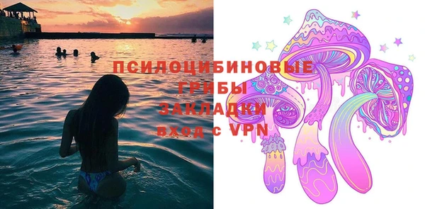 ECSTASY Алексин