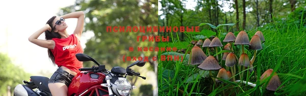 ECSTASY Алексин