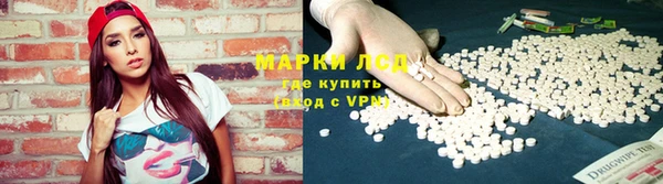 стафф Алзамай